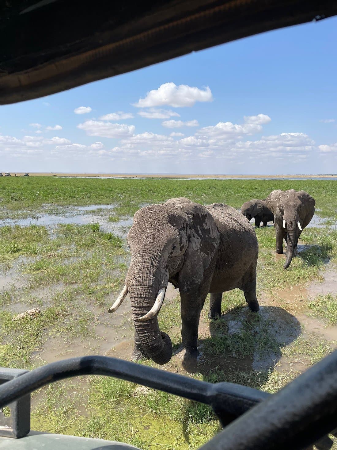 Kenya safari tipping guide