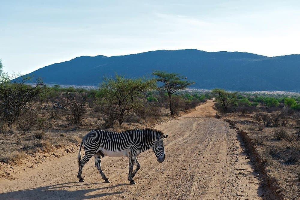 Is 7 days too long for a safari?