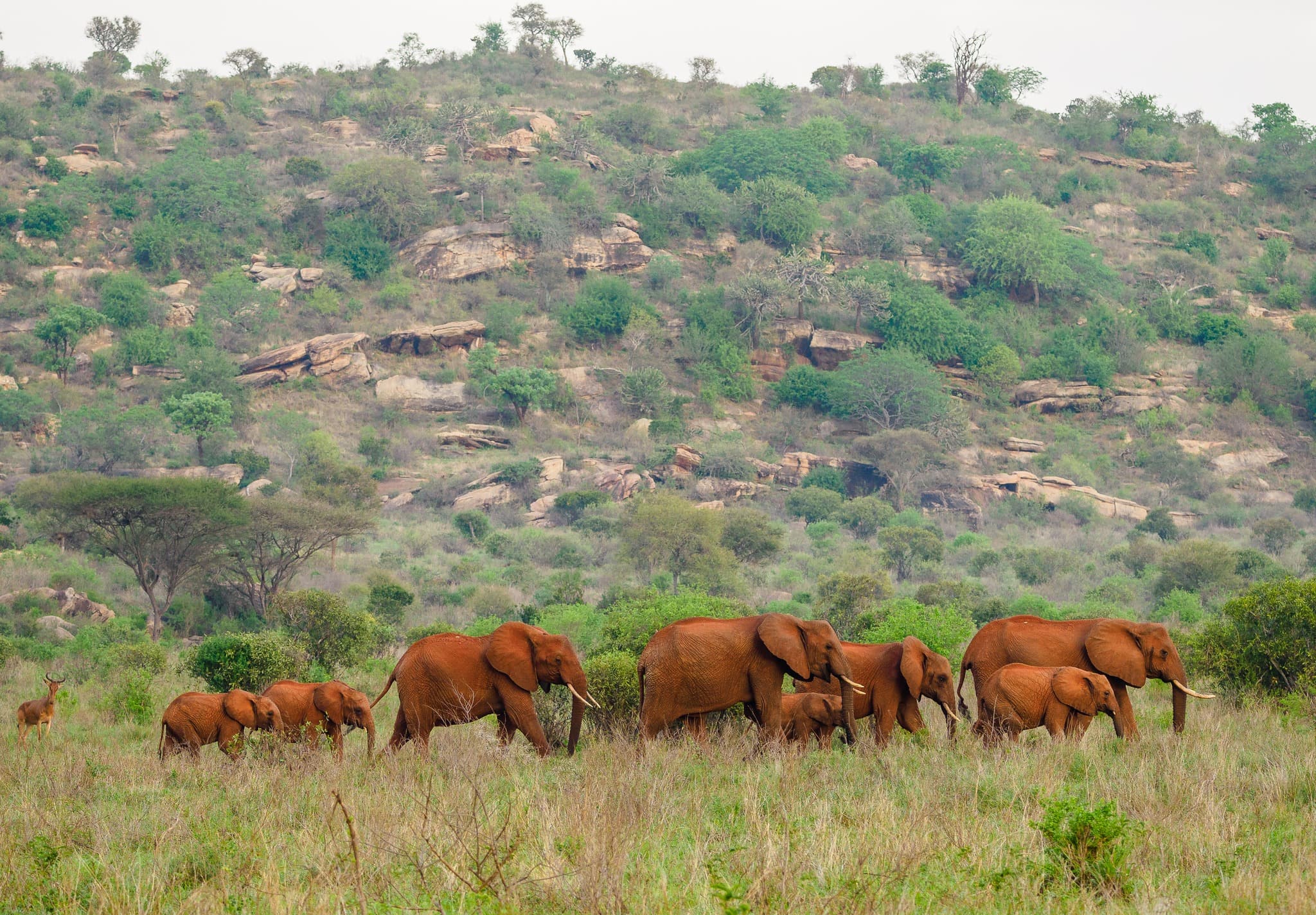 How many days do you need in the Serengeti?