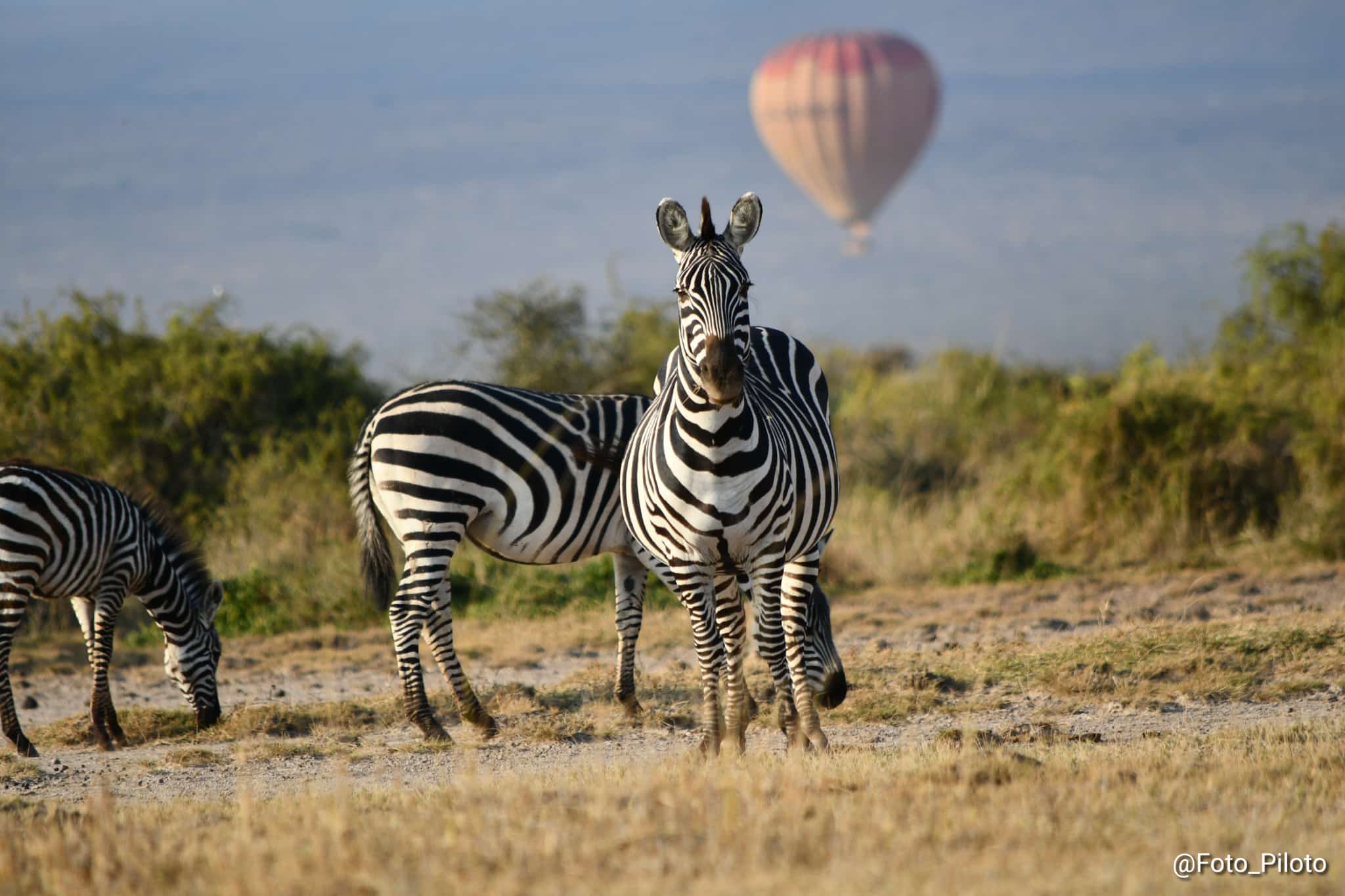 6 Days Tanzania Safari