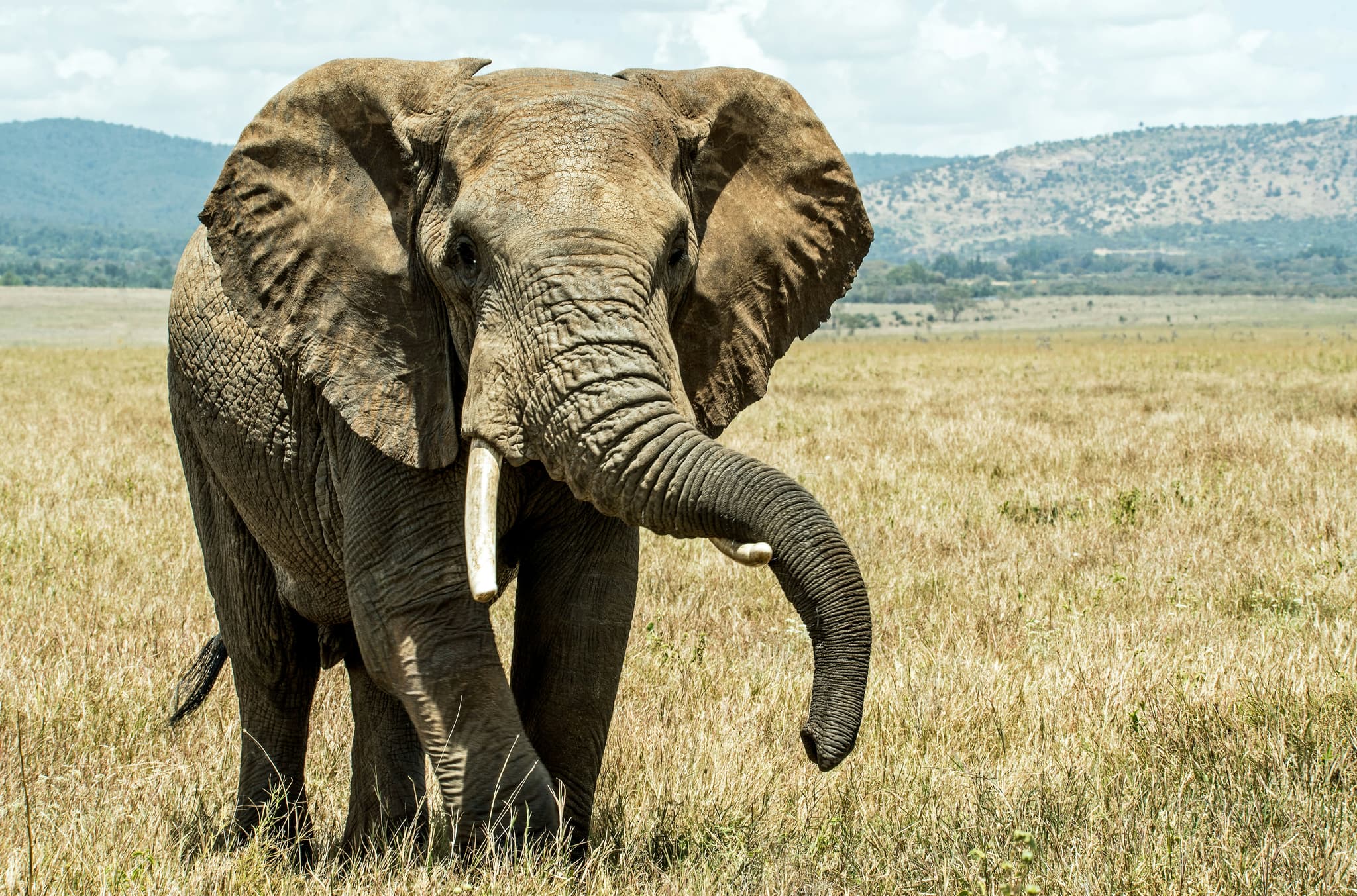 8 Day Kenya & Tanzania Safari